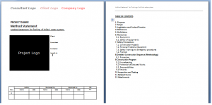 Flushing method statement snapshot